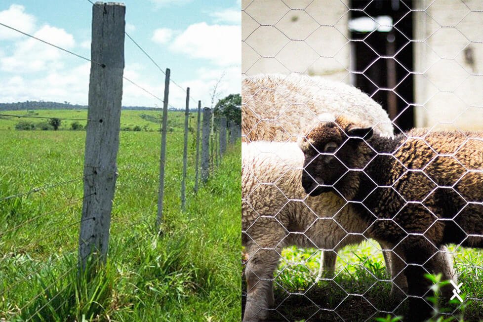 Imagem de comparação entre arames lisos e telas hexagonais mangueirão
