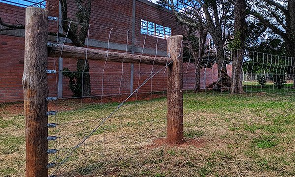 Cerca para Ovinos com Tela e Catracas