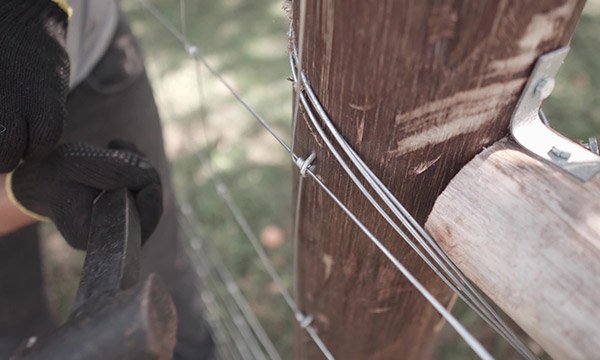 Instalação da Tela Campeira em Cerca para Ovinos