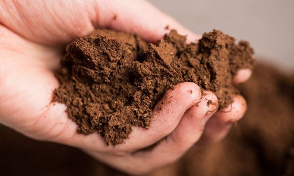 Pastagem Rotativa amostragem do solo para fertilização